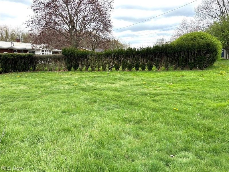 225 6th Street, Columbiana, OH 44408 Photo 18