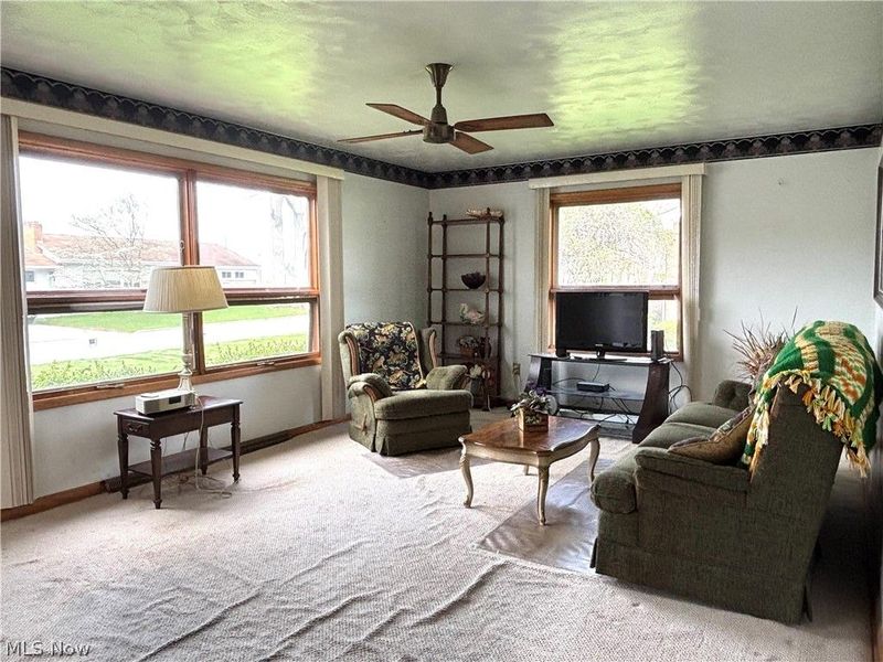 225 6th Street, Columbiana, OH 44408 Photo 4