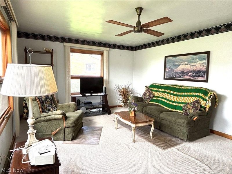 225 6th Street, Columbiana, OH 44408 Photo 5