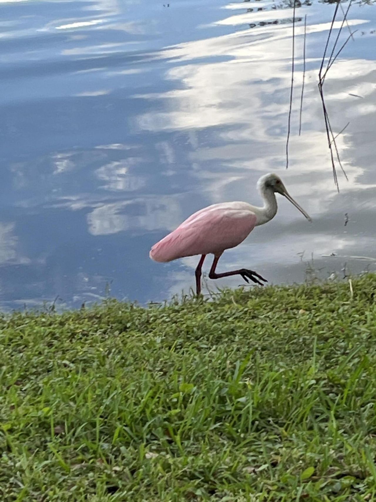 387 Kelsey Park Drive, Palm Beach Gardens, FL 33410 Photo