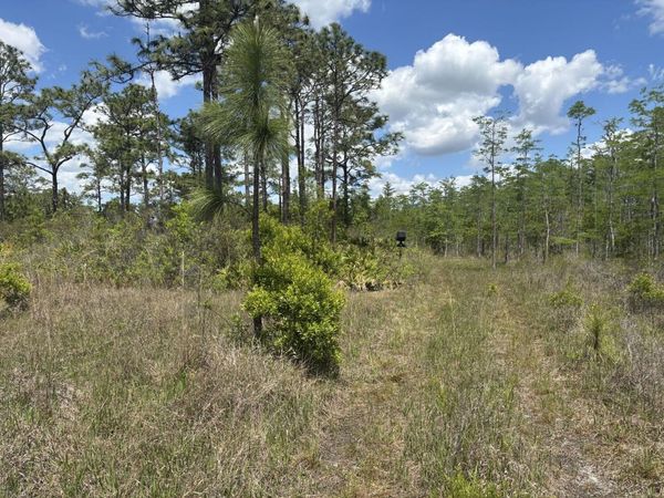 0 Holopaw Groves Road, St. Cloud, FL 34772