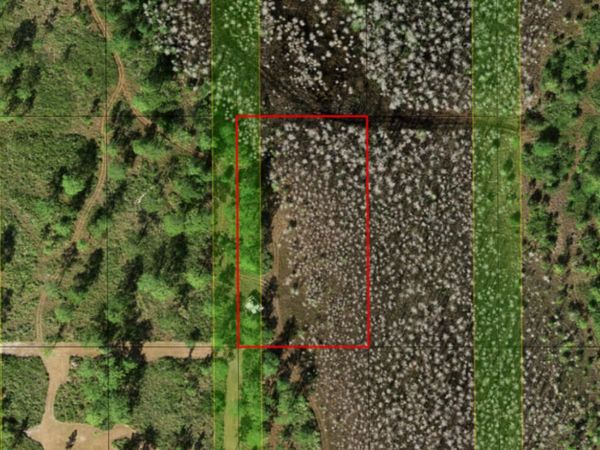 0 Holopaw Groves Road, St. Cloud, FL 34772