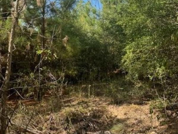 Lot 1339 Tahitian DR, Bastrop, TX 78602