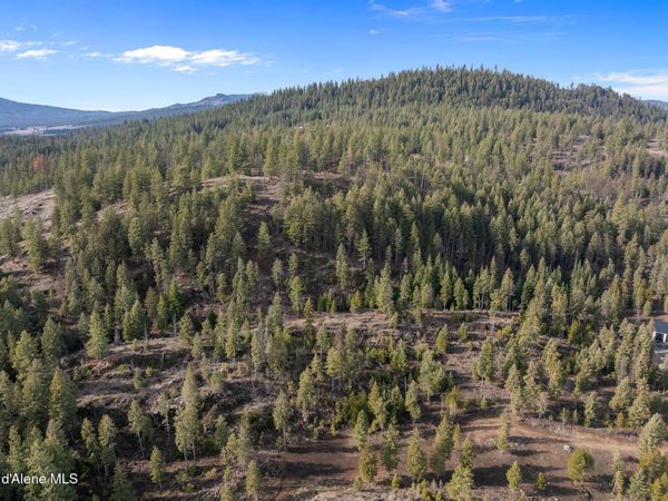 NKA Healing Dr. Lot 2 and Lot 3, Blanchard, ID 83804