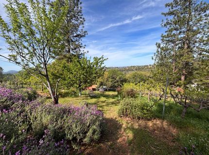 10285 Ponderosa Way, Pine Grove, CA 95665 Photo