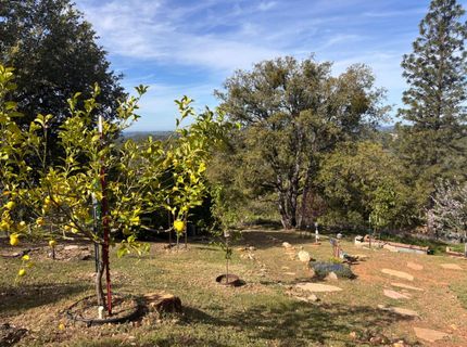 10285 Ponderosa Way, Pine Grove, CA 95665 Photo