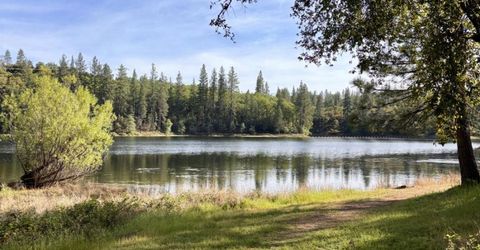 10285 Ponderosa Way, Pine Grove, CA 95665 Photo