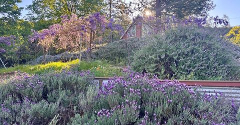 10285 Ponderosa Way, Pine Grove, CA 95665 Photo