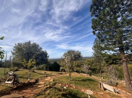 10285 Ponderosa Way, Pine Grove, CA 95665 Photo