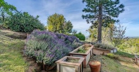 10285 Ponderosa Way, Pine Grove, CA 95665 Photo