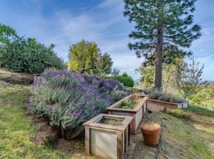 10285 Ponderosa Way, Pine Grove, CA 95665 Photo