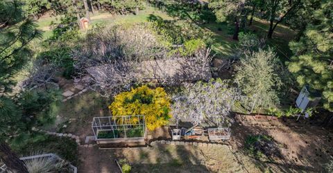 10285 Ponderosa Way, Pine Grove, CA 95665 Photo