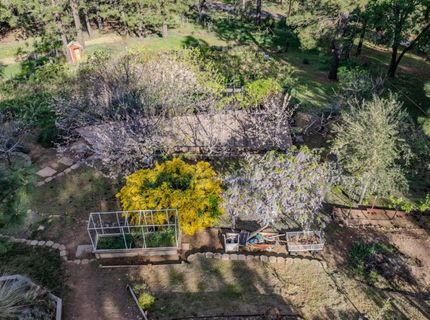 10285 Ponderosa Way, Pine Grove, CA 95665 Photo