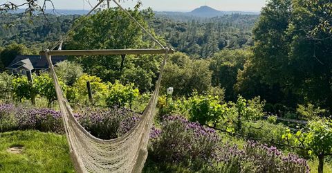 10285 Ponderosa Way, Pine Grove, CA 95665 Photo