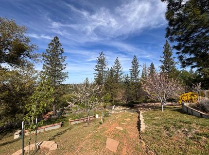 10285 Ponderosa Way, Pine Grove, CA 95665 Photo