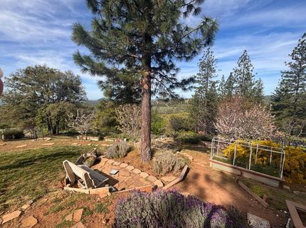 10285 Ponderosa Way, Pine Grove, CA 95665 Photo