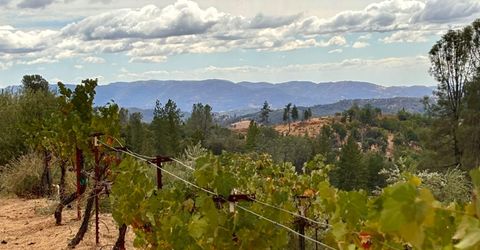 10285 Ponderosa Way, Pine Grove, CA 95665 Photo