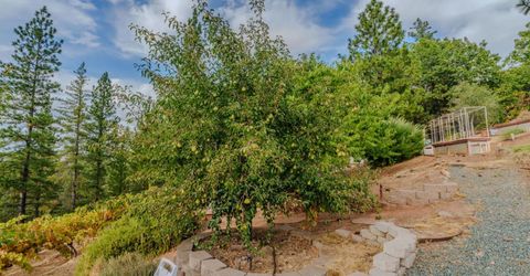 10285 Ponderosa Way, Pine Grove, CA 95665 Photo