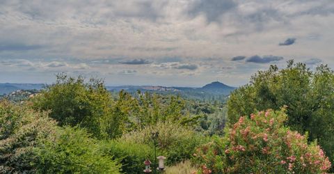 10285 Ponderosa Way, Pine Grove, CA 95665 Photo