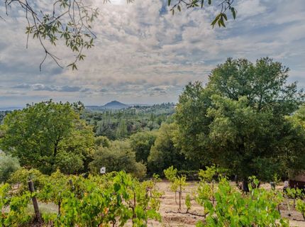 10285 Ponderosa Way, Pine Grove, CA 95665 Photo