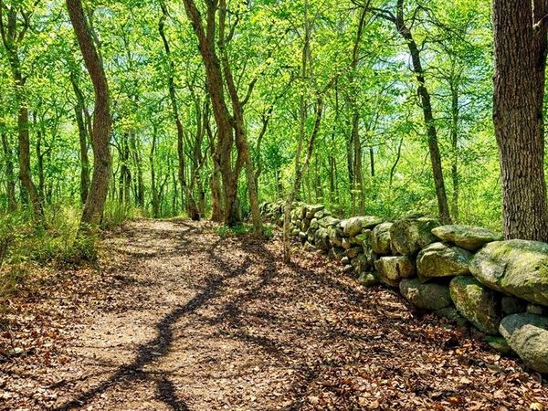 0/15 North Road/Belhaven Way, Chilmark, MA 02535