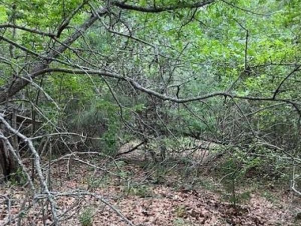 Lot 1603 Ulupau CIR, Bastrop, TX 78602
