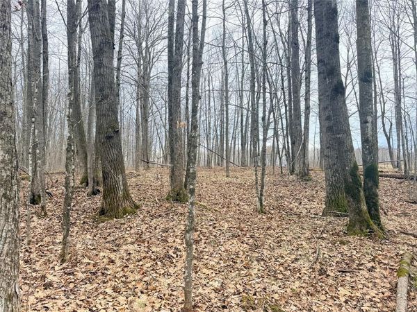 Lot 3 Hwy X, Glen Flora, WI 54526