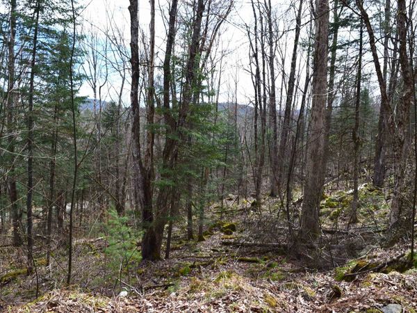 Lot 177 Belknap Drive, Unit 177, Haverhill, NH 03765