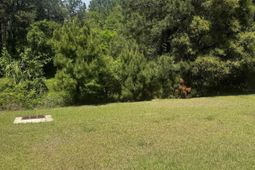 724 Sinker Lane photo 4