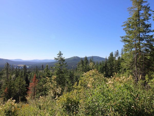 XXX Buck Creek Rd, Newport, WA 99156