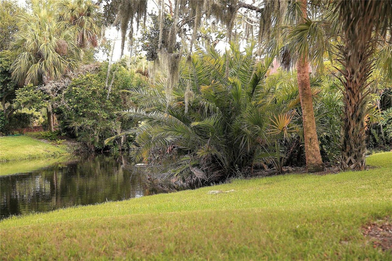 4572 Red Maple Road, Unit 901, Bradenton, FL 34210 Photo