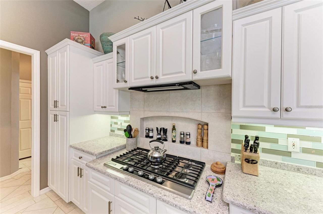 8118 Waterview Boulevard, Lakewood Ranch, FL 34202 Photo