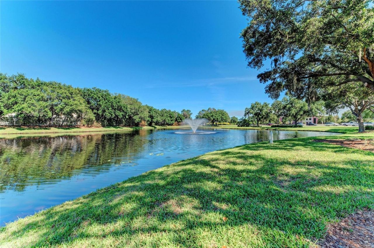 8118 Waterview Boulevard, Lakewood Ranch, FL 34202 Photo