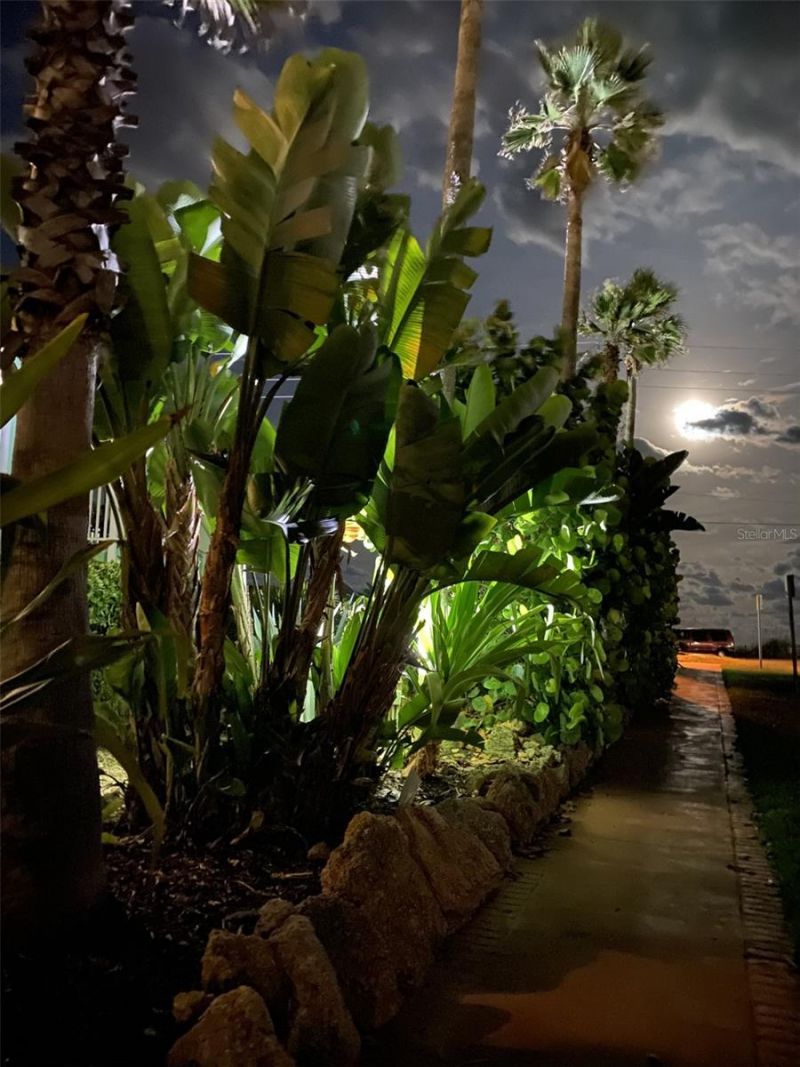 3000 Ocean Shore Boulevard, Unit 150, Ormond Beach, FL 32176 Photo