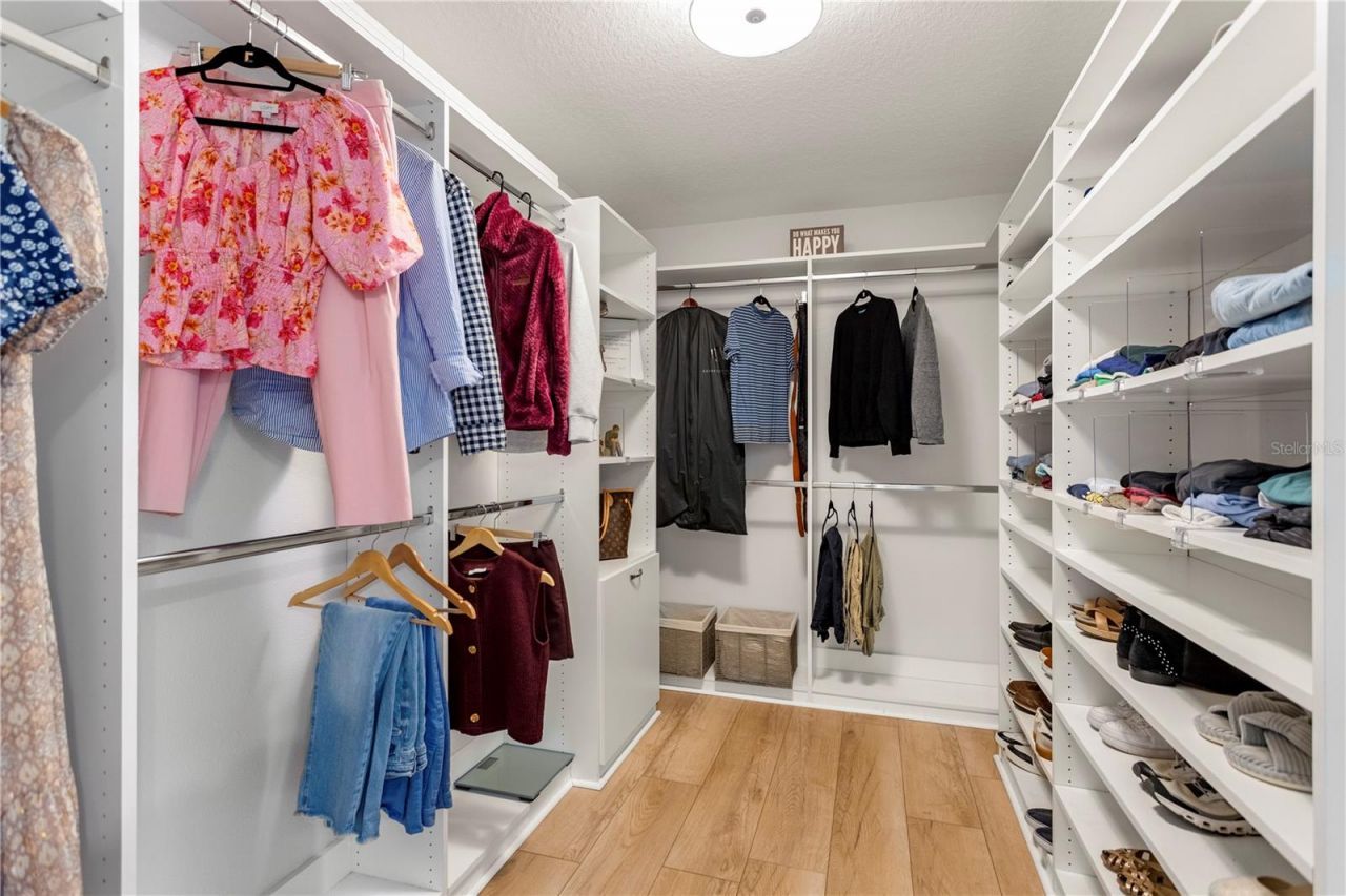 15058 Sawgrass Bluff Drive, Winter Garden, FL 34787 Photo