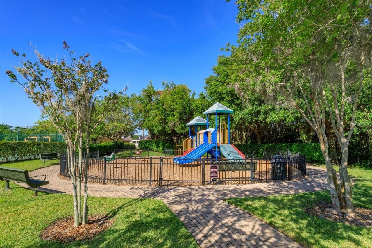 15058 Sawgrass Bluff Drive, Winter Garden, FL 34787 Photo