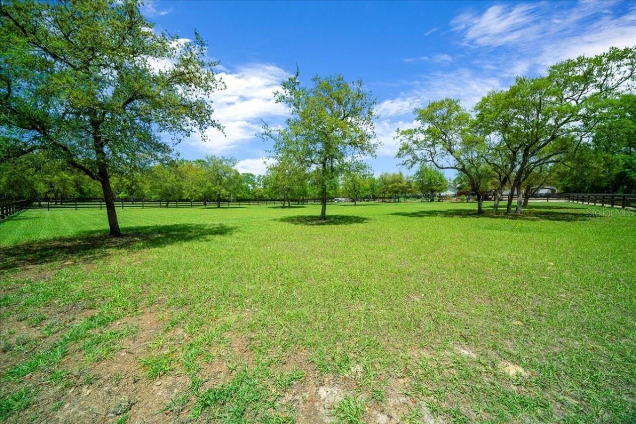 5400 W Yearling Drive , Beverly Hills, FL 34465 Photo