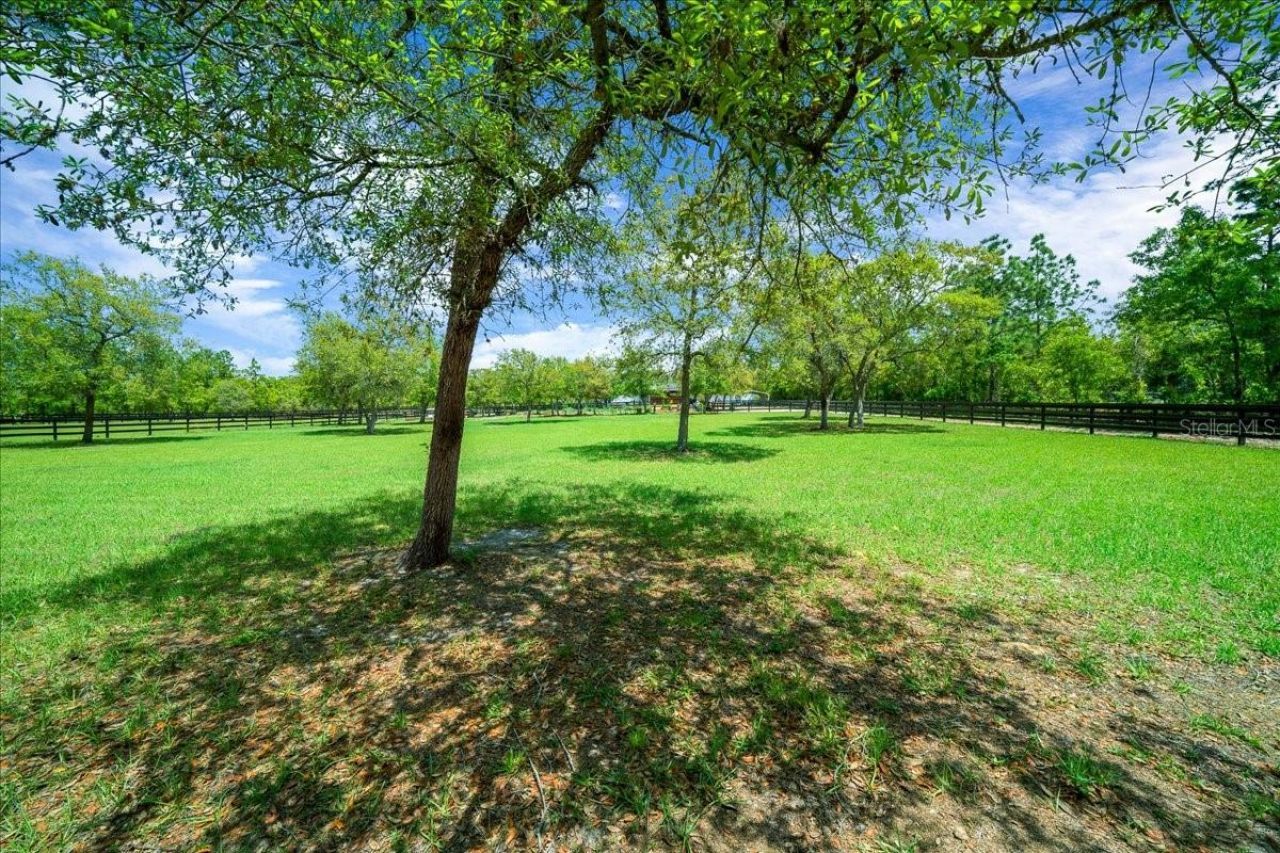 5400 W Yearling Drive , Beverly Hills, FL 34465 Photo