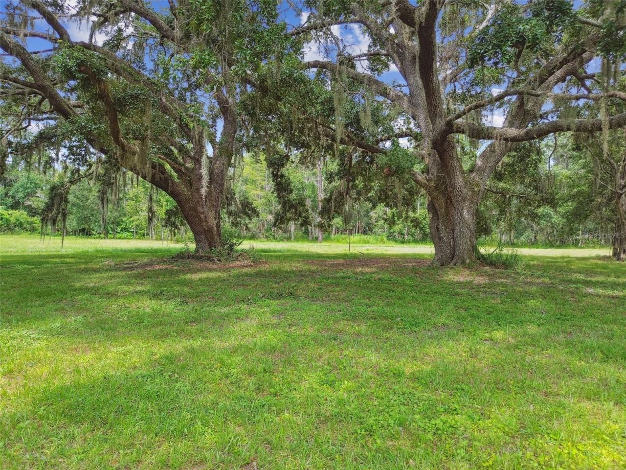 13711 Lussier Lane, Spring Hill, FL 34610 Photo