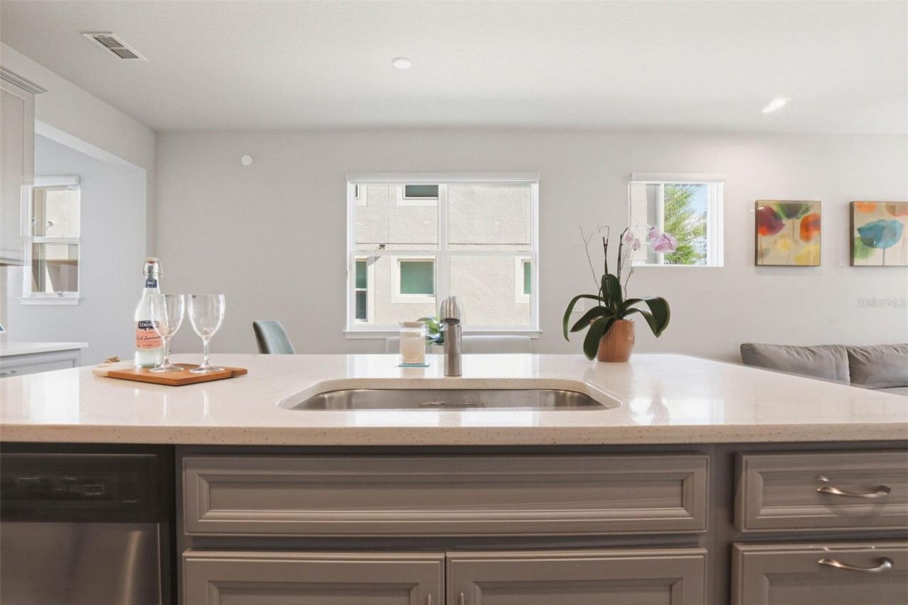 4220 Cloud Hopper Way , Lutz, FL 33559 Photo