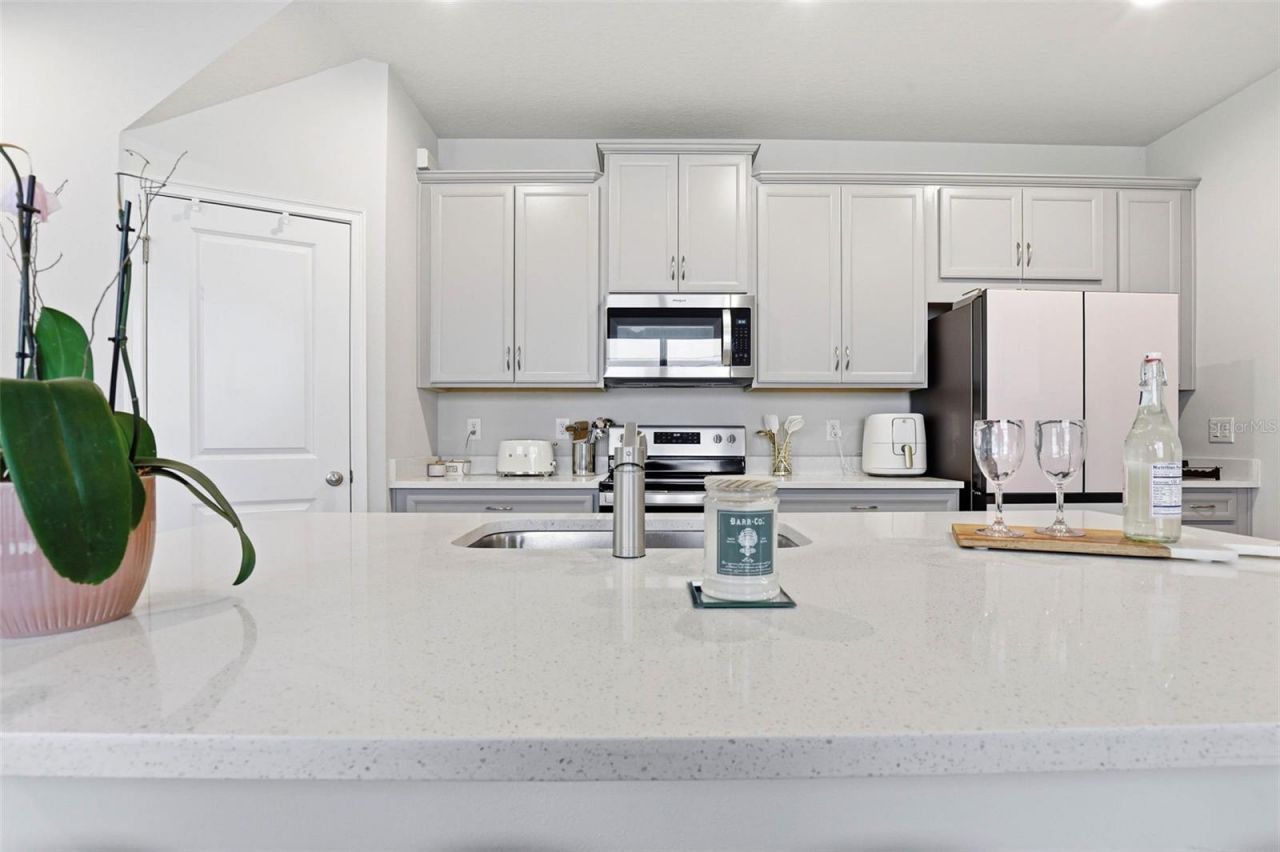 4220 Cloud Hopper Way , Lutz, FL 33559 Photo