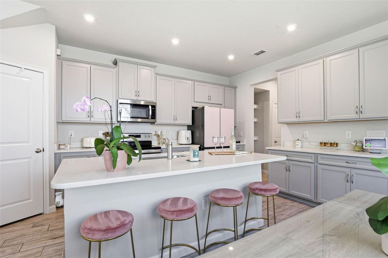 4220 Cloud Hopper Way , Lutz, FL 33559 Photo