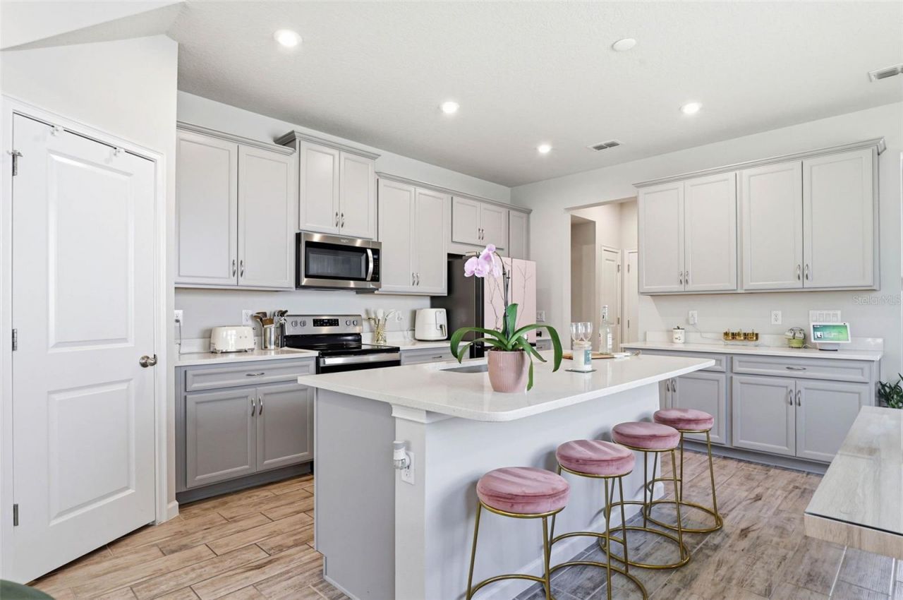 4220 Cloud Hopper Way , Lutz, FL 33559 Photo