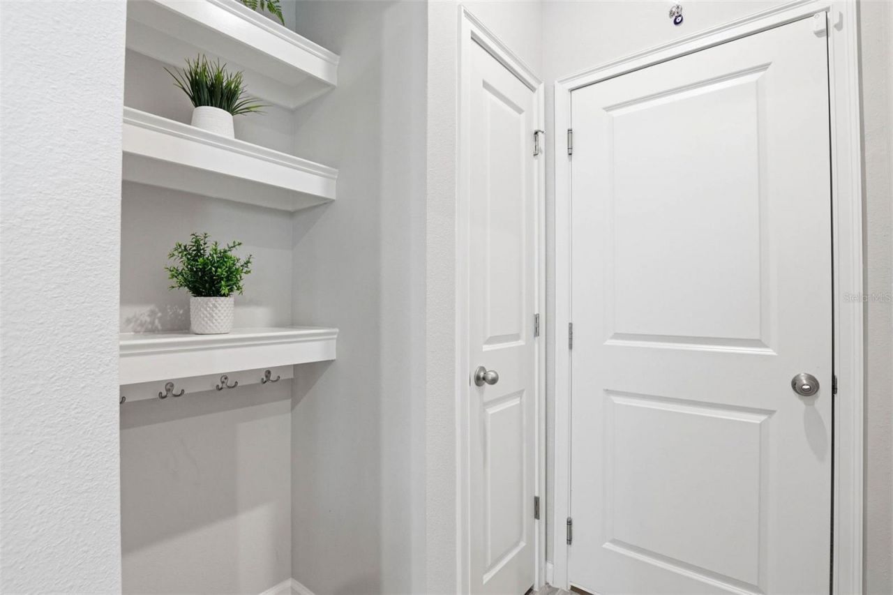 4220 Cloud Hopper Way , Lutz, FL 33559 Photo