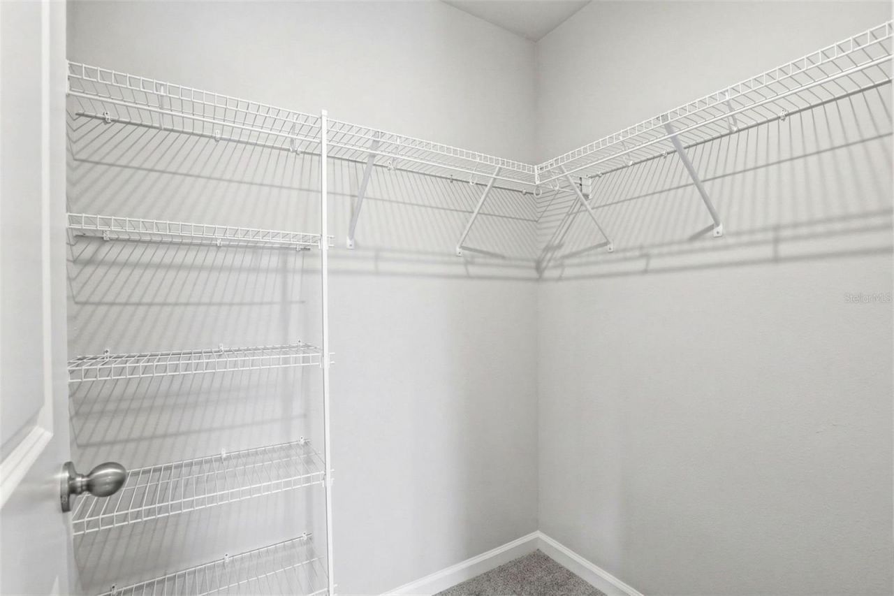 4220 Cloud Hopper Way , Lutz, FL 33559 Photo