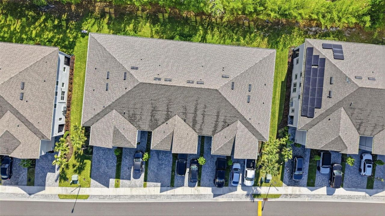 4220 Cloud Hopper Way , Lutz, FL 33559 Photo