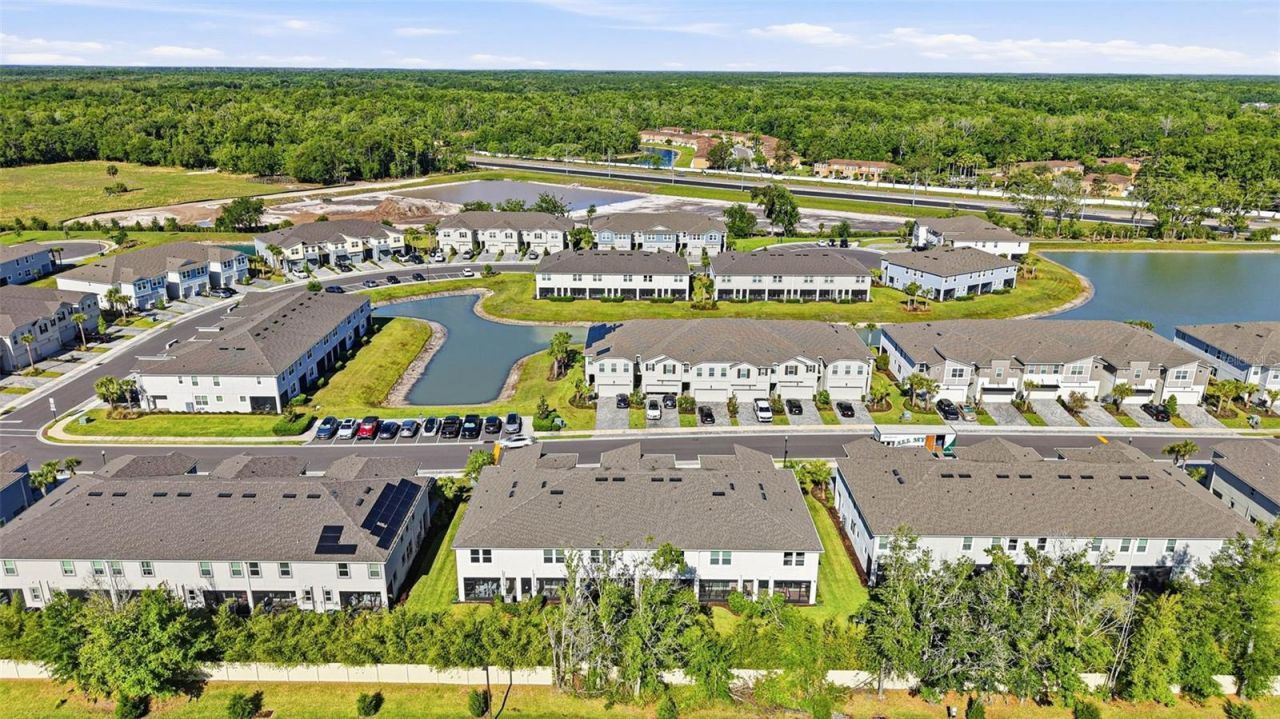 4220 Cloud Hopper Way , Lutz, FL 33559 Photo