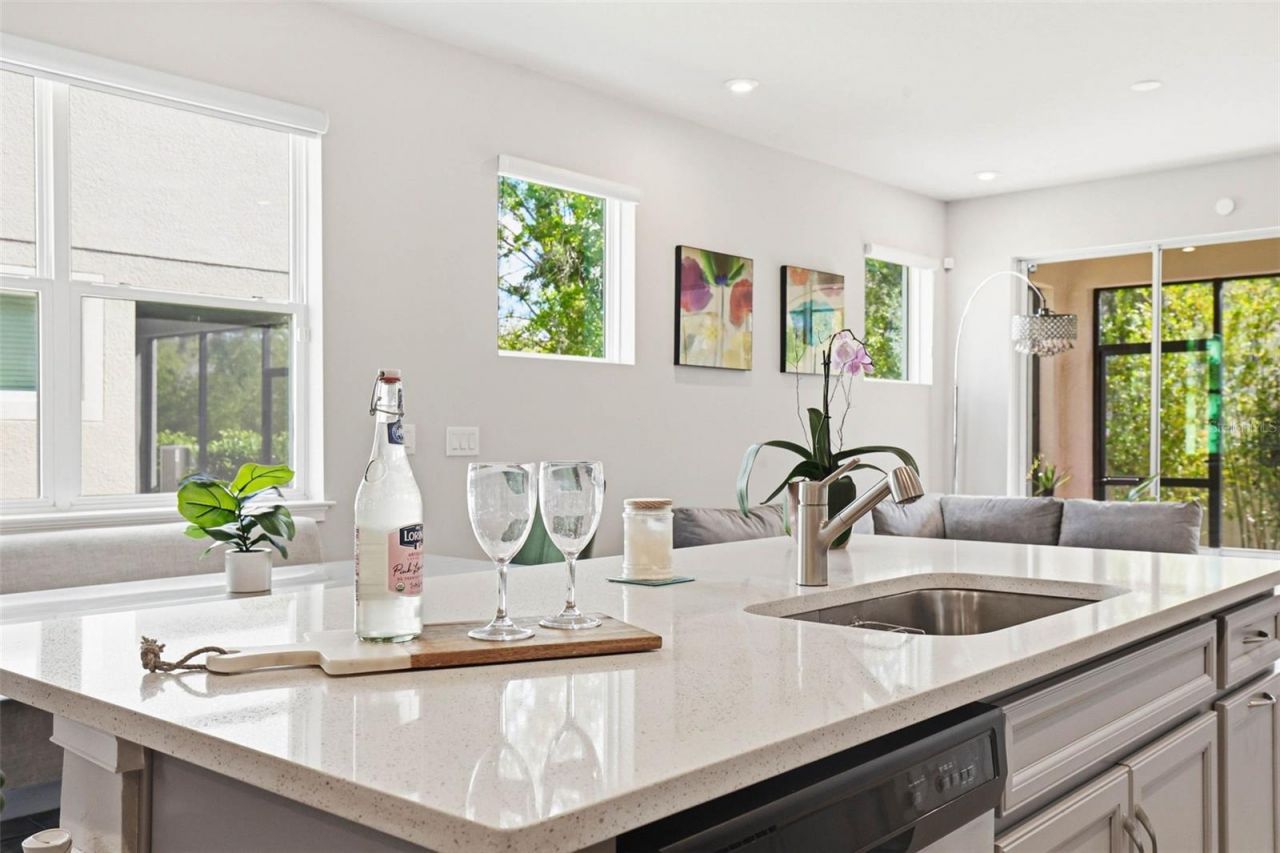 4220 Cloud Hopper Way , Lutz, FL 33559 Photo