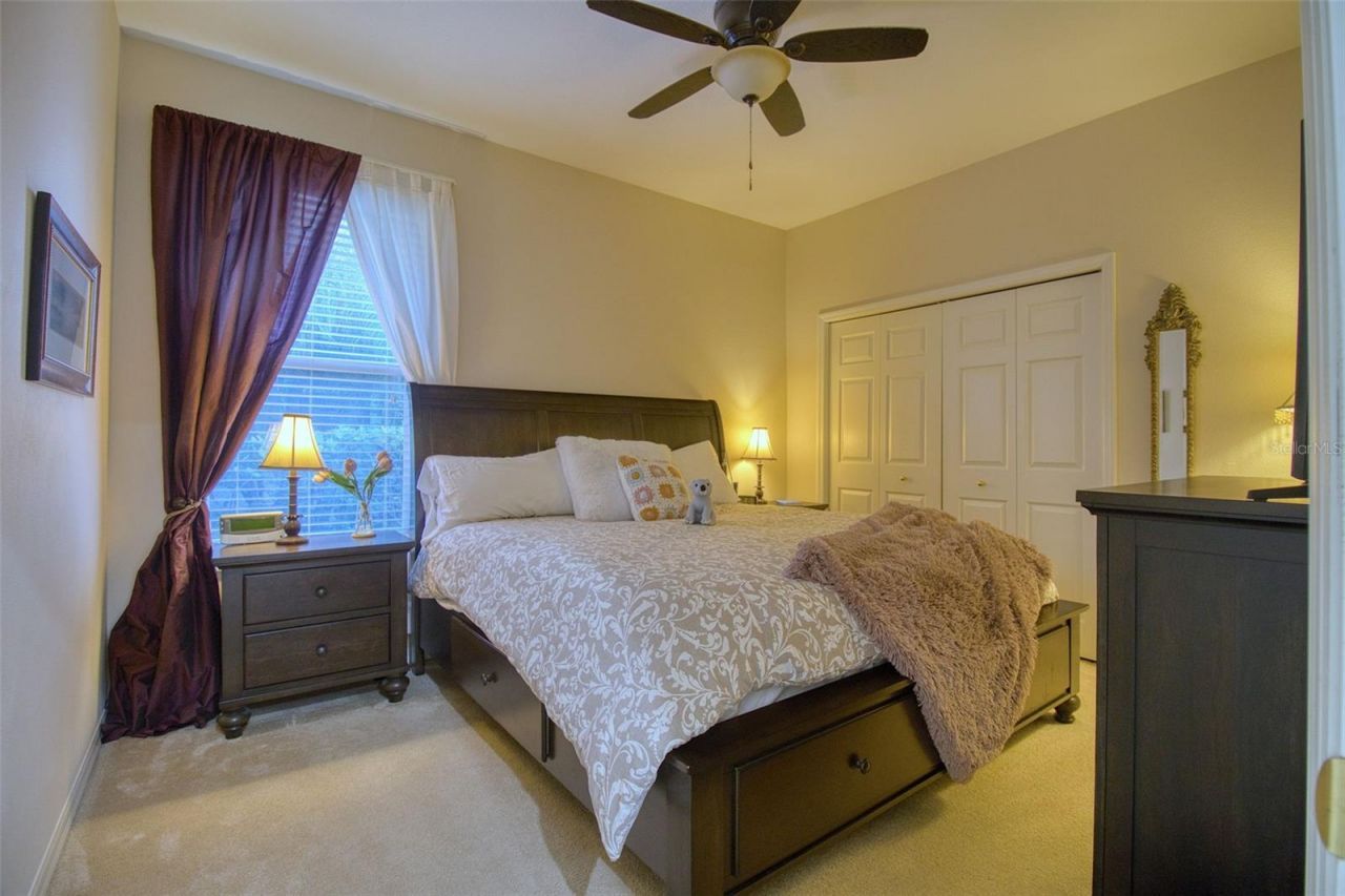 2206 Highland Woods Drive, Dunedin, FL 34698 Photo