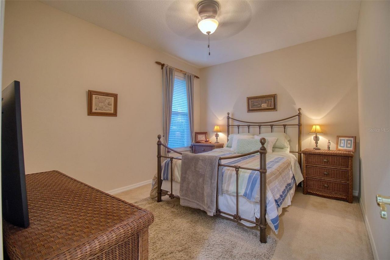 2206 Highland Woods Drive, Dunedin, FL 34698 Photo